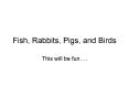 Fish, Rabbits, Pigs, and Birds PowerPoint PPT Presentation