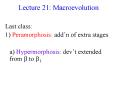 Lecture 21: Macroevolution PowerPoint PPT Presentation