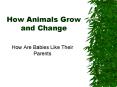 How Animals Grow and Change PowerPoint PPT Presentation