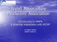 Welsh Aquaculture Producers Association PowerPoint PPT Presentation