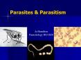 Parasites PowerPoint PPT Presentation