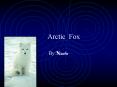 Arctic Fox PowerPoint PPT Presentation