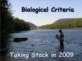 Taking Stock in 2009 PowerPoint PPT Presentation