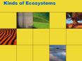 Kinds of Ecosystems PowerPoint PPT Presentation