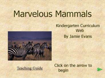 Marvelous Mammals
