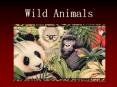 Wild Animals PowerPoint PPT Presentation