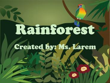 Rainforest