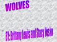 BY: Brittany Lewis and Stacy Yesko PowerPoint PPT Presentation