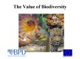 The Value of Biodiversity PowerPoint PPT Presentation