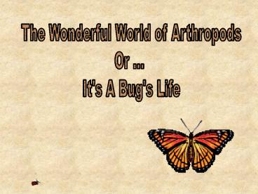 The Wonderful World of Arthropods