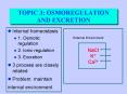 TOPIC 3: OSMOREGULATION AND EXCRETION PowerPoint PPT Presentation