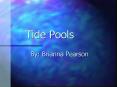 Tide Pools PowerPoint PPT Presentation