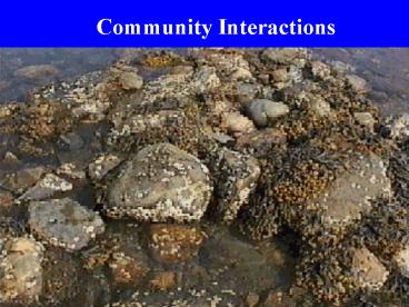 Population Interactions