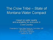The Crow Tribe 