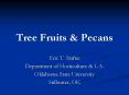 Tree Fruits PowerPoint PPT Presentation