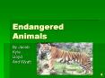 Endangered Animals PowerPoint PPT Presentation