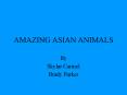 AMAZING ASIAN ANIMALS PowerPoint PPT Presentation