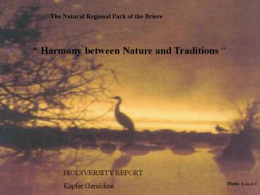 The Natural Regional Park of the Briere