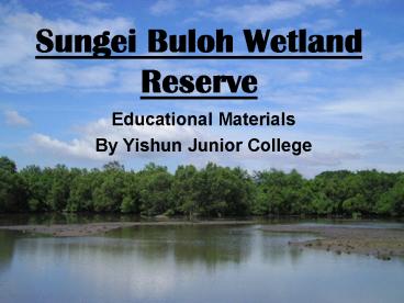 Sungei Buloh Wetland Reserve
