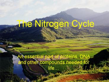 The Nitrogen Cycle