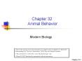 Chapter 32 Animal Behavior PowerPoint PPT Presentation