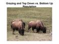 Grazing and Top Down vs' Bottom Up Regulation PowerPoint PPT Presentation