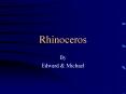 Rhinoceros PowerPoint PPT Presentation