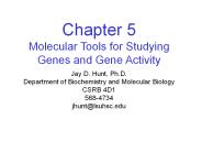 Molecular Tools for Studying