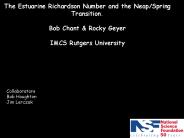 The Estuarine Richardson Number and the NeapSpring