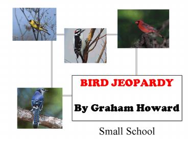BIRD JEOPARDY By Graham Howard