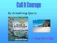 Call It Courage PowerPoint PPT Presentation