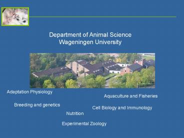 Echografie als diagnostisch hulpmiddel bij reproductieproblemen