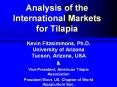 Analysis of the International Markets for Tilapia PowerPoint PPT Presentation