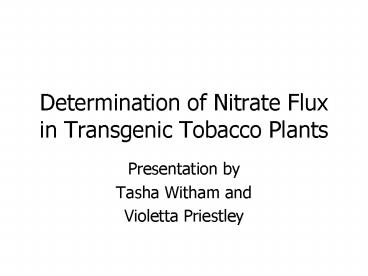 Determination of Nitrate Flux in Transgenic Tobacco Plants