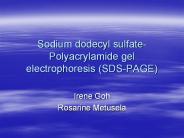 Sodium dodecyl sulfate-Polyacrylamide gel electrophoresis (SDS-PAGE)