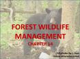 FOREST WILDLIFE MANAGEMENT PowerPoint PPT Presentation