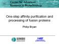 Onestep affinity purification and processing of fusion proteins PowerPoint PPT Presentation