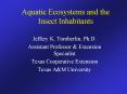 Aquatic Ecosystems and the Insect Inhabitants PowerPoint PPT Presentation