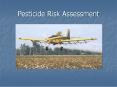 Pesticide Risk Assessment PowerPoint PPT Presentation