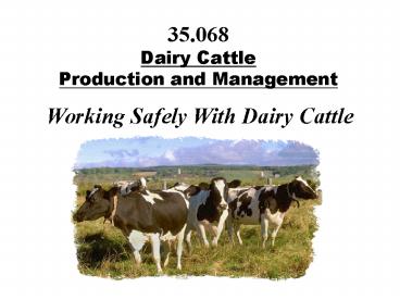 35'068 Dairy Cattle Production and Management