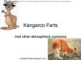Kangaroo Farts PowerPoint PPT Presentation
