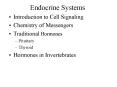 Endocrine Systems PowerPoint PPT Presentation