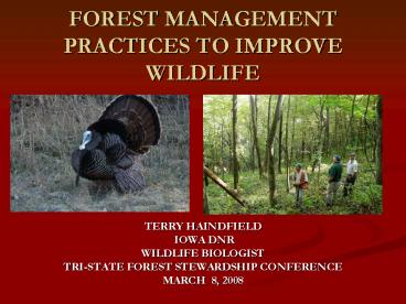 FOREST MANAGEMENT PRACTICES TO IMPROVE WILDLIFE
