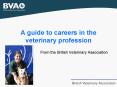 A guide to careers in the veterinary profession PowerPoint PPT Presentation