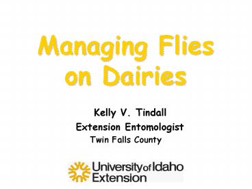 Managing Flies on Dairies