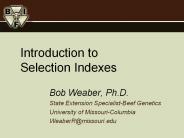 Introduction to Selection Indexes