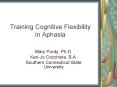 Training Cognitive Flexibility in Aphasia PowerPoint PPT Presentation
