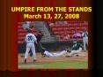 UMPIRE FROM THE STANDS PowerPoint PPT Presentation