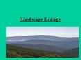 Landscape Ecology PowerPoint PPT Presentation