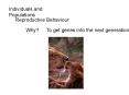 Individuals and Populations PowerPoint PPT Presentation